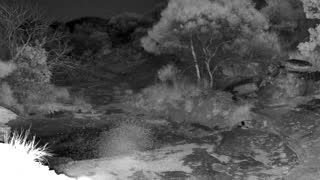 Still 3 from this detection