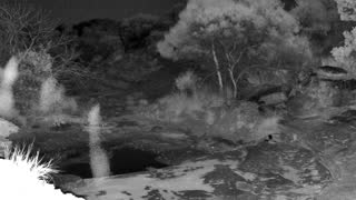 Still 3 from this detection