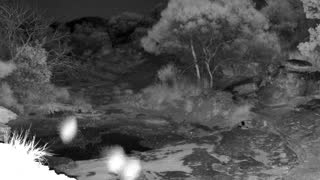 Still 2 from this detection