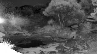Still 3 from this detection
