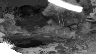 Still 2 from this detection