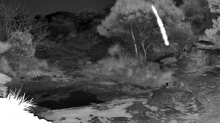 Still 1 from this detection