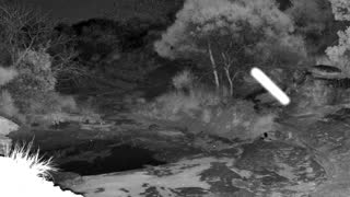 Still 2 from this detection