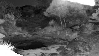 Still 2 from this detection
