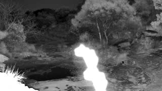 Still 1 from this detection