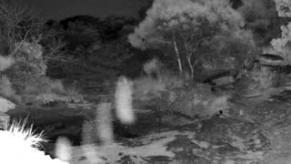 Still 1 from this detection