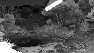 Still 1 from this detection