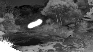 Still 1 from this detection