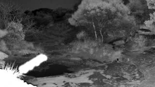 Still 1 from this detection