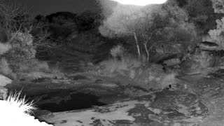 Still 1 from this detection