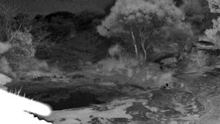 Still 1 from this detection