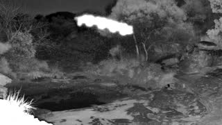 Still 1 from this detection