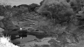Still 1 from this detection