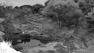 Still 2 from this detection