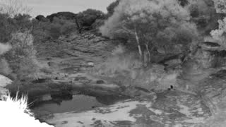 Still 1 from this detection