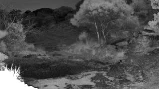Still 1 from this detection
