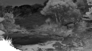 Still 3 from this detection