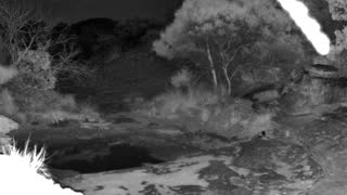 Still 1 from this detection