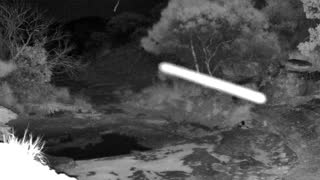 Still 2 from this detection
