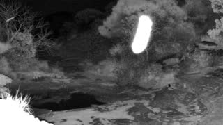 Still 2 from this detection