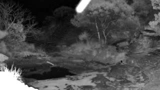 Still 1 from this detection
