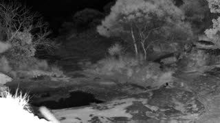 Still 1 from this detection