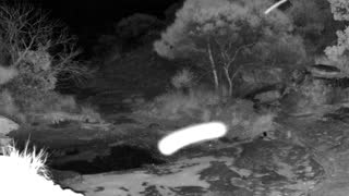Still 2 from this detection