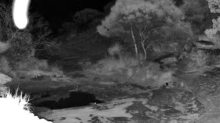 Still 2 from this detection