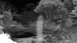 Still 2 from this detection