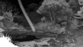 Still 2 from this detection