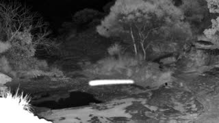 Still 2 from this detection