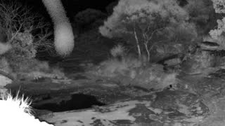 Still 2 from this detection