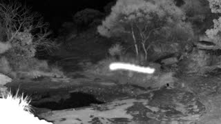 Still 1 from this detection