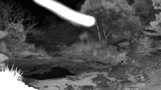 Still 2 from this detection