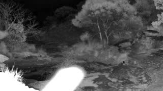 Still 2 from this detection