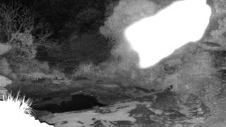 Still 2 from this detection