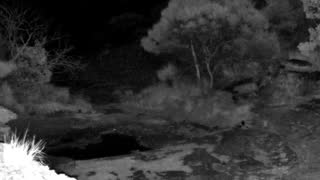 Still 3 from this detection