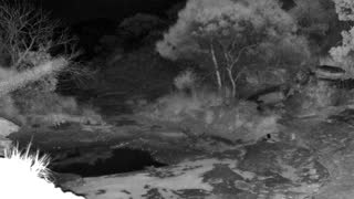 Still 2 from this detection