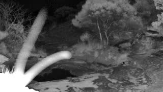 Still 2 from this detection