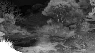 Still 1 from this detection