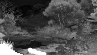 Still 1 from this detection