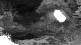 Still 2 from this detection