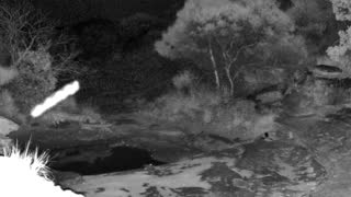 Still 2 from this detection