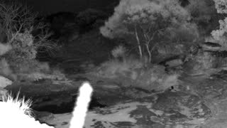 Still 2 from this detection