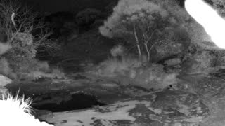 Still 1 from this detection