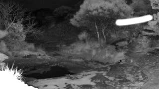 Still 1 from this detection