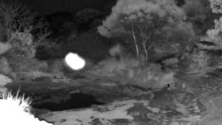 Still 2 from this detection