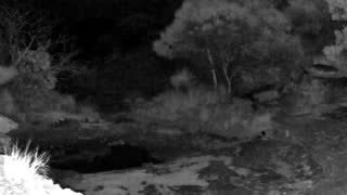 Still 3 from this detection
