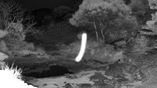 Still 2 from this detection