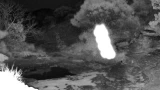 Still 3 from this detection